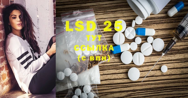 ECSTASY Ладушкин