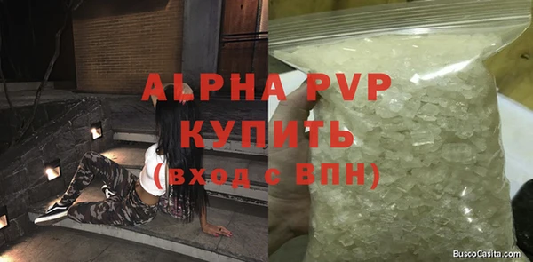 ECSTASY Ладушкин